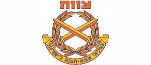 צוות-300x130